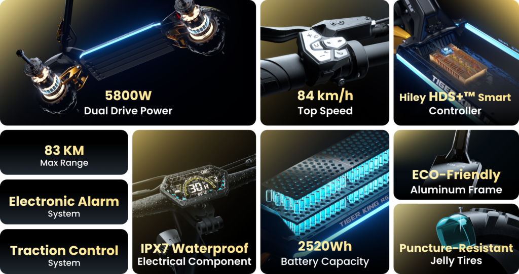 hiley scooter tiger King RS high performance