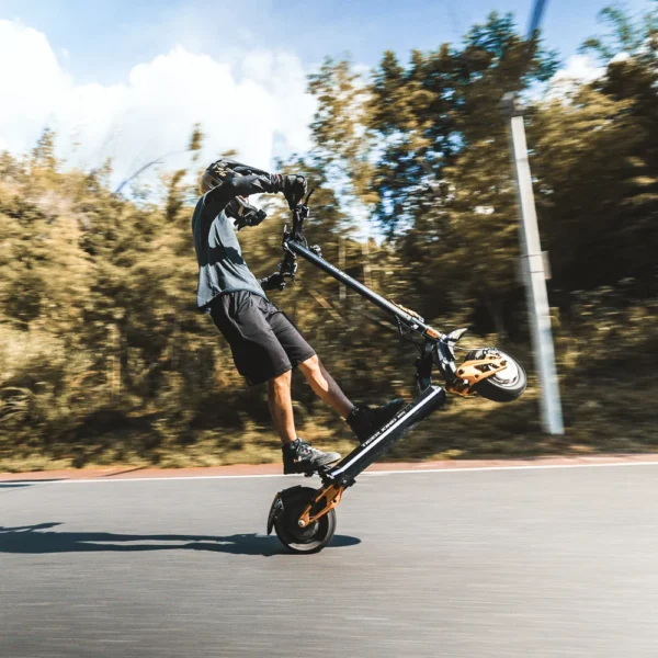 hiley scooter tiger king rs high performance