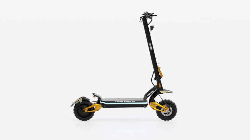 hiley scooter tiger King RS
