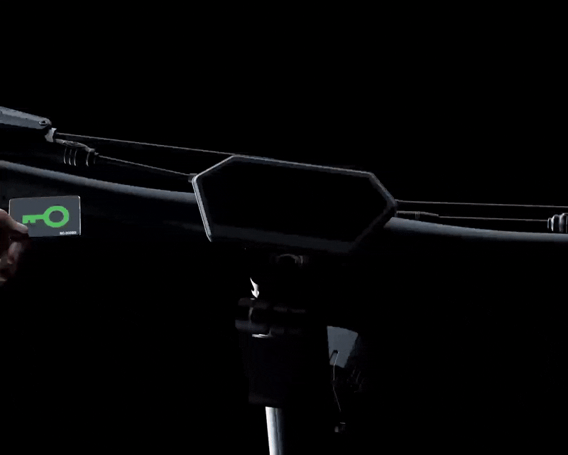 tiger king rs nfc display