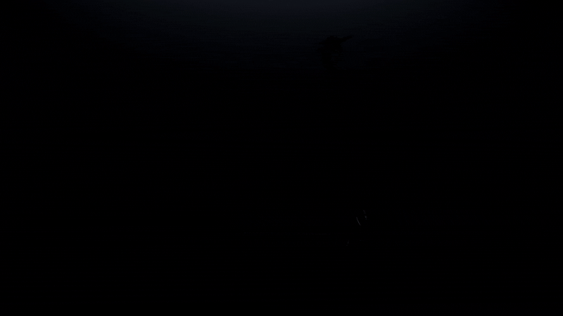 Hiley Tiger EVO lighting system