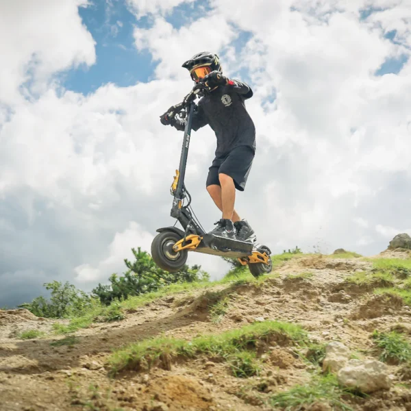 tiger 10 v5 hiley scooter high performance offroad